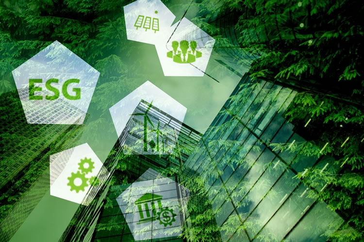 home - sustainability advisory